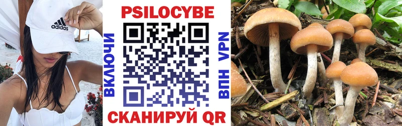 сколько стоит  Заволжск  Галлюциногенные грибы GOLDEN TEACHER 